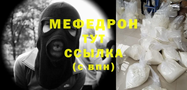 индика Приозерск