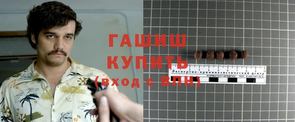 индика Приозерск