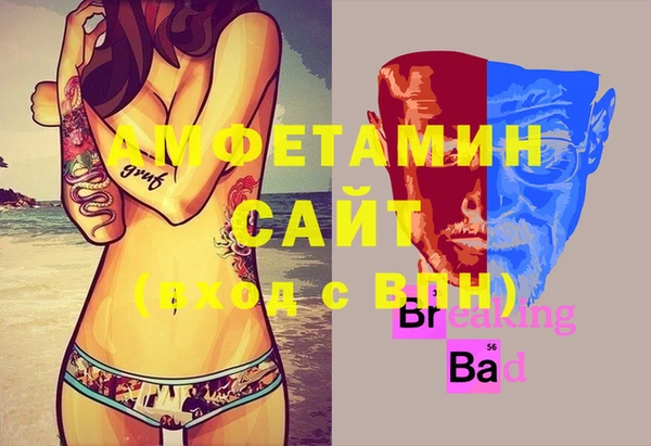 индика Приозерск