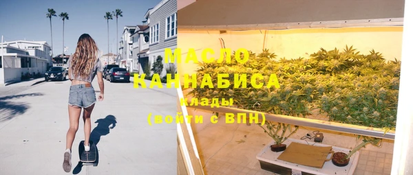 индика Приозерск