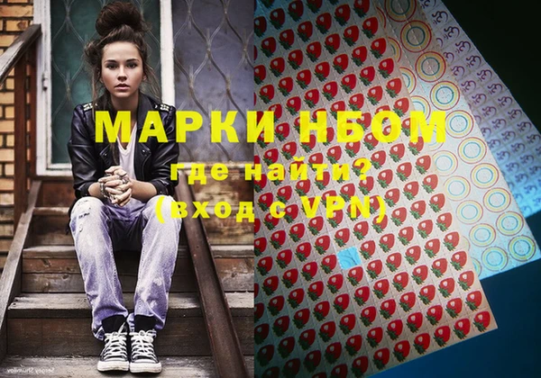 индика Приозерск